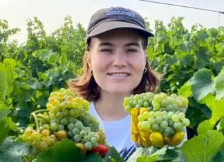 MLADÍ VINAŘI – Kamila Ilgnerová: „Generační výměna názorů může být i ostřejší. U nás je ale vždy v dobrém duchu“ Mladá vinařka Kamila Ilgnerová z vinařství ŠPalek