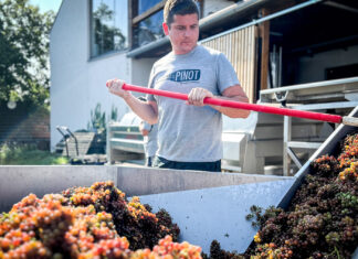 MLADÍ VINAŘI – Ondřej Dubas. Od IT k vínu. Cesta, která dává smysl i chuť