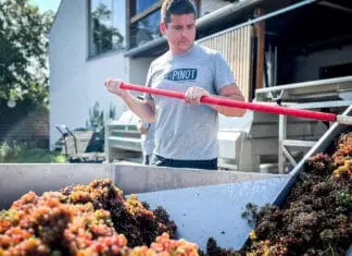 MLADÍ VINAŘI – Ondřej Dubas. Od IT k vínu. Cesta, která dává smysl i chuť