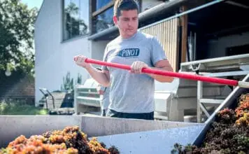 MLADÍ VINAŘI – Ondřej Dubas. Od IT k vínu. Cesta, která dává smysl i chuť