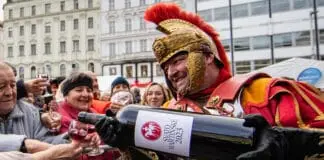 SVATOMARTINSKÉ SLAVÍ 20 LET. Vína 2025: svěží, hravá a z vyrovnaného ročníku