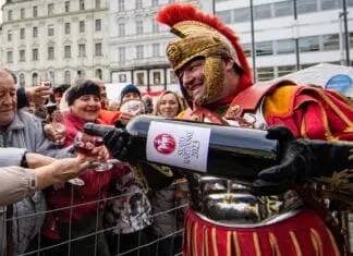 SVATOMARTINSKÉ SLAVÍ 20 LET. Vína 2025: svěží, hravá a z vyrovnaného ročníku