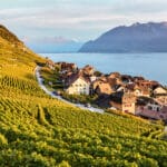 Lavaux Octobre 2017