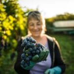 OeWM_www-pov-at_herbst-0013831_jpg