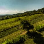 OeWM_www-pov-at_herbst-0036_jpg