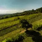 OeWM_www-pov-at_herbst-0036_jpg