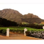 RYAN_GRAHAM_COPYRIGHT