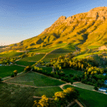 Snímek obrazovky 2025-11-30 v 21.16.30