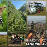 KOLAZ VINATURA