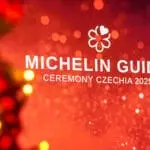 Michelin 25 – 001