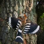 Obrázek WhatsApp, 2025-12-01 v 10.31.44_99ffdd44