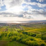 OeWM_WSNA_bgld_neusiedlersee_weiden_2021_jpg