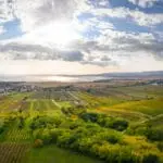 OeWM_WSNA_bgld_neusiedlersee_weiden_2021_jpg