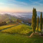 OeWM_WSNA_stmk_suedsteirmark_lubekogel_2022_jpg