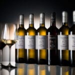 Volarik_terroir_novelogo