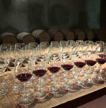 Poslední šance přihlásit Frankovku do soutěže, která vstoupí do historie Degustace Frankovek Rakousko