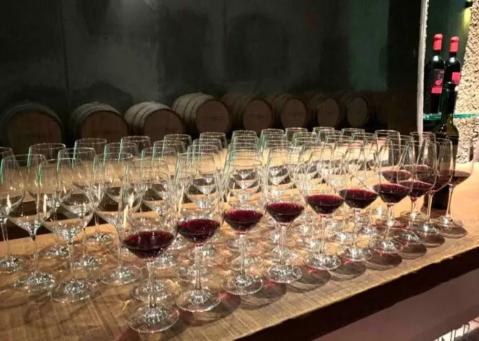 Rakousko Blaufrankisch Degustace Frankovek Rakousko