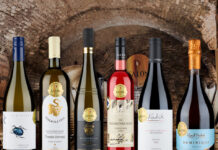 SALON VÍN ČR představil stovku nejlepších vín pro rok 2026. Brány otevře poslední lednový den