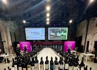 Piemont jako jeden tým. GRANDI LANGE 2025 představilo nové ročníky, upevnilo pozice a chce dál růst