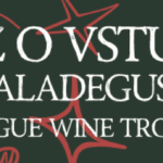 Red Black and Peach Illustrated Trendy Party Wine Tumbler (720 x 98 px)