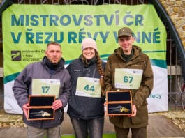 Oko bere: 21. ročník Mistrovství ČR v řezu révy vinné ocenil vítěze