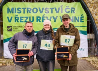 Oko bere: 21. ročník Mistrovství ČR v řezu révy vinné ocenil vítěze