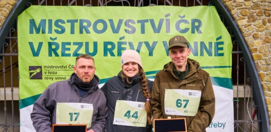 Oko bere: 21. ročník Mistrovství ČR v řezu révy vinné ocenil vítěze