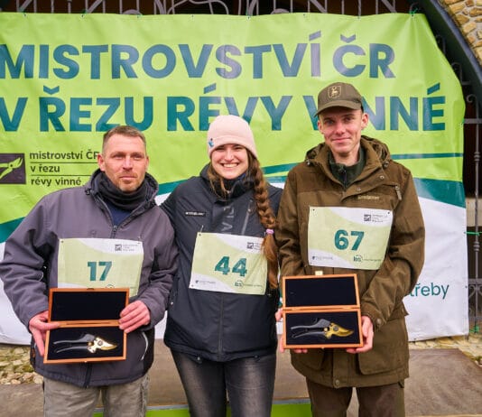 Oko bere: 21. ročník Mistrovství ČR v řezu révy vinné ocenil vítěze