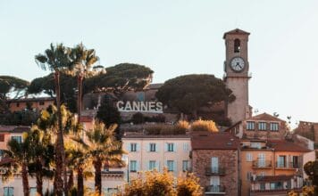 Moravská a česká vína dobyla Cannes. Z Vinalies Internationales vezou tuzemští vinaři šest velkých zlatých medailí