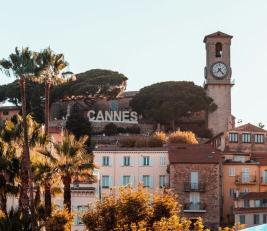 Moravská a česká vína dobyla Cannes. Z Vinalies Internationales vezou tuzemští vinaři šest velkých zlatých medailí