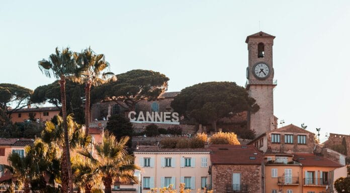 Moravská a česká vína dobyla Cannes. Z Vinalies Internationales vezou tuzemští vinaři šest velkých zlatých medailí