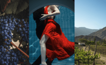 MALBEC V HLAVNÍ ROLI. Víno, šťavnaté maso a hlavně chvíle pohody… Den Malbeku je tady