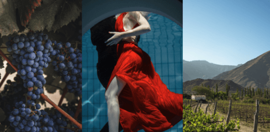 MALBEC V HLAVNÍ ROLI. Víno, šťavnaté maso a hlavně chvíle pohody… Den Malbeku je tady