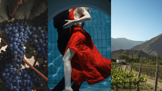 MALBEC V HLAVNÍ ROLI. Víno, šťavnaté maso a hlavně chvíle pohody… Den Malbeku je tady