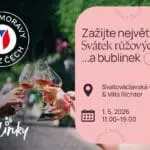 VMVC_Den_ruzovych_vin_INZERCE_300x200