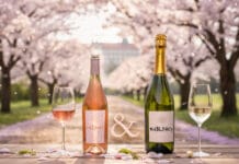 PRVNÍ MÁJ S ROSÉ A BUBLINKAMI. Již tradičně na Svatováclavské vinici pod Pražským hradem
