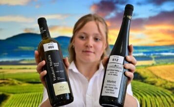 VALTICKÉ VINNÉ TRHY ZNAJÍ SVÉ ŠAMPIONY. Nadcházejícímu 59. ročníku vévodí Ryzlink od Volaříka a Merlot z Chateau Valtice