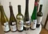 Královské odrůdy potvrdily svou sílu. Pohár Karla IV. našel šampiony od Burgundska po Prahu