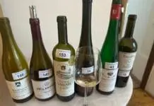 Královské odrůdy potvrdily svou sílu. Pohár Karla IV. našel šampiony od Burgundska po Prahu
