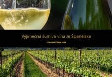 ŠUMIVÁ REVOLTA VE ŠPANĚLSKU. Corpinnat slaví opět svůj den