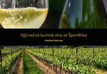 ŠUMIVÁ REVOLTA VE ŠPANĚLSKU. Corpinnat slaví opět svůj den