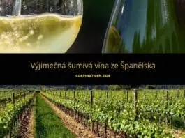 ŠUMIVÁ REVOLTA VE ŠPANĚLSKU. Corpinnat slaví opět svůj den