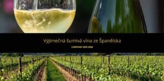 ŠUMIVÁ REVOLTA VE ŠPANĚLSKU. Corpinnat slaví opět svůj den