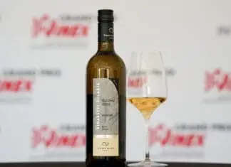 Betonové vejce, vítězný Veltlín a téměř 900 vín. Porota Grand Prix Vinex 2026 zvolila vítěze