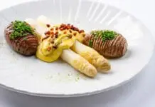 Chřest, smrže, ryby, langustýnky… RESTAURACE KAMPA PARK si umí vymazlit každou sezónu