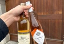 GALICIA VITIS v Polsku přinesla úspěch Balounovi i Jeňourovi. Tři šampioni a 22 medailí pro naše vinaře