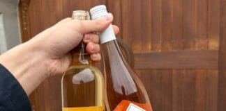 GALICIA VITIS v Polsku přinesla úspěch Balounovi i Jeňourovi. Tři šampioni a 22 medailí pro naše vinaře