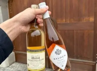 GALICIA VITIS v Polsku přinesla úspěch Balounovi i Jeňourovi. Tři šampioni a 22 medailí pro naše vinaře