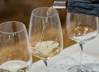 OENOFORUM 2026: Královnou soutěže se stala Eliška Becková, Ryzlinky a Slovensko ovládly jubilejní ročník