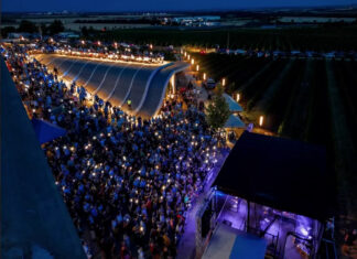 Kultura mění vinařský venkov. HUDBA NA VINICÍCH posouvá vinařství do centra společenského dění